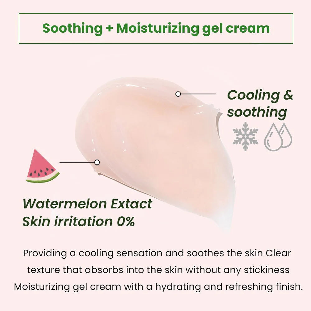 HEIMISH (Official) Watermelon Moisture Soothing Gel Cream 110ml