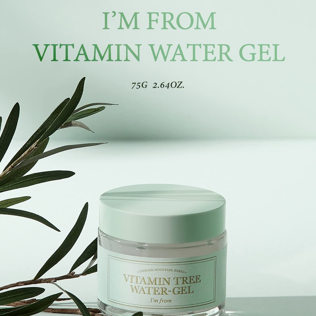 I M FROM (Official) Vitamin Tree Water Gel Cream 75g