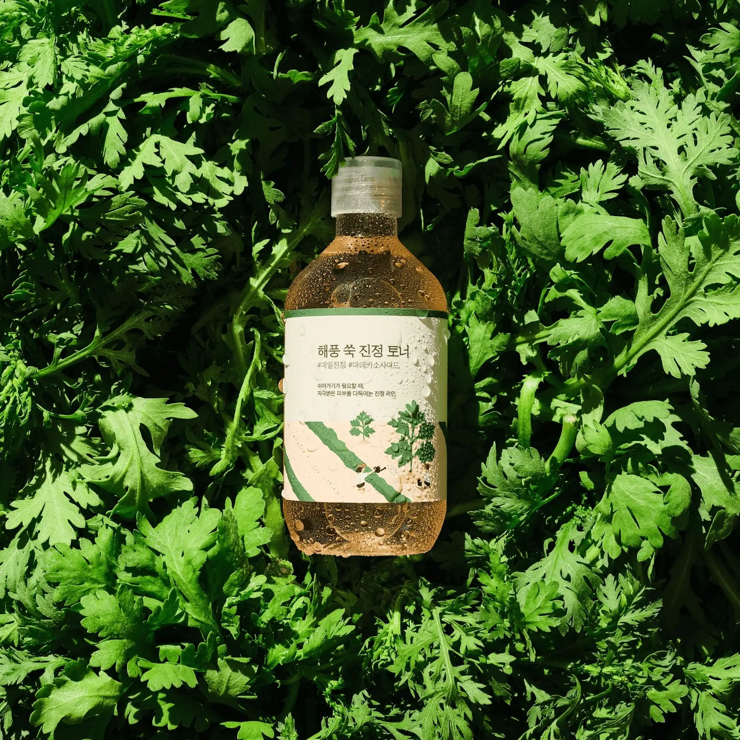 ROUND LAB Mugwort Calming Toner 300ml
