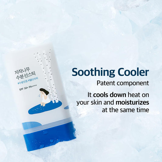 ROUND LAB Birch Juice Moisturizing SPF 50+ Sun Stick 19g